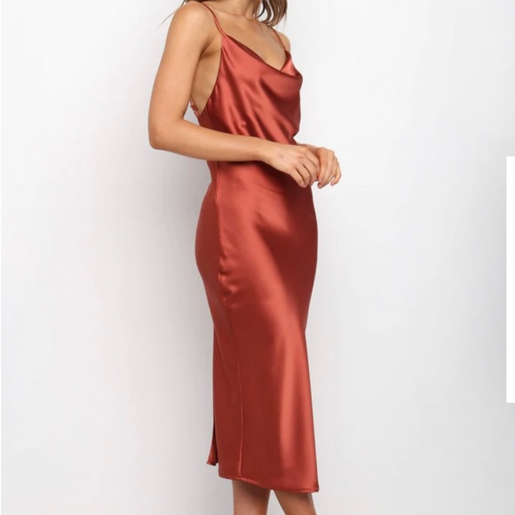 Petal & Pup Persia Dress in Rust - Picture 4 of 7